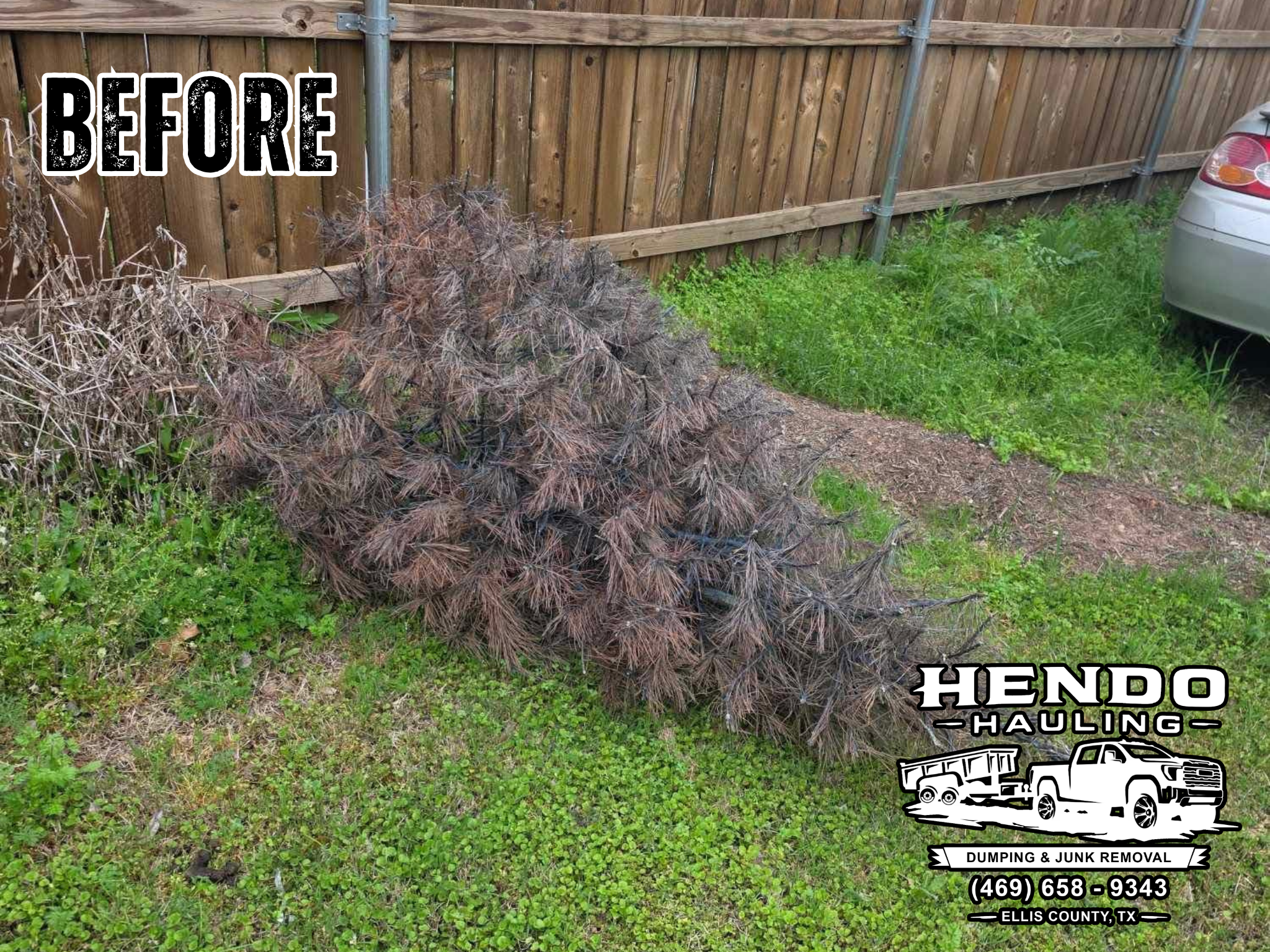 Before photo of brush cleanup